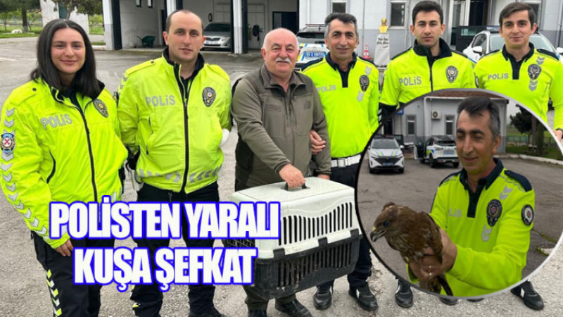 Bafra'da yaralı kuşu polis ekipleri kurtardı