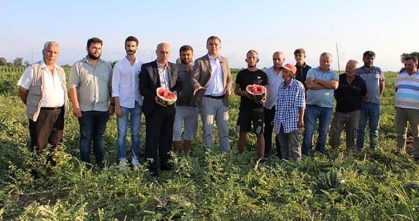 Başkan Türkel, Bafra Ovasında karpuz üreticisinin 6000 Dönüm Karpuz Tarlada Kaldı