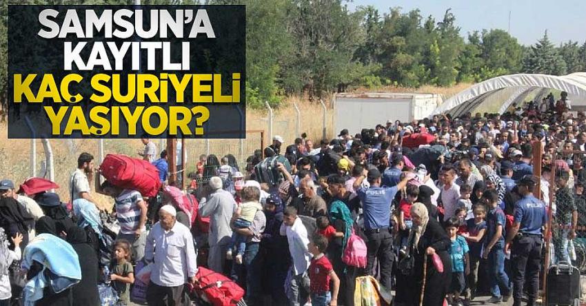 Samsun'da kaç kayıtlı Suriyeli yaşıyor? 