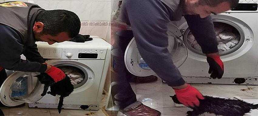 kediyi fark etmeden çamaşırlarla makinede yıkadı!
